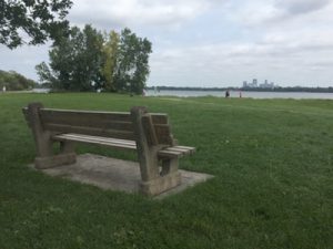 Read more about the article Habits and a Bench by the Lake