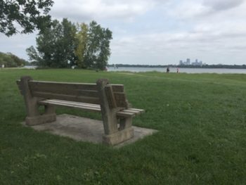 Habits and a Bench by the Lake